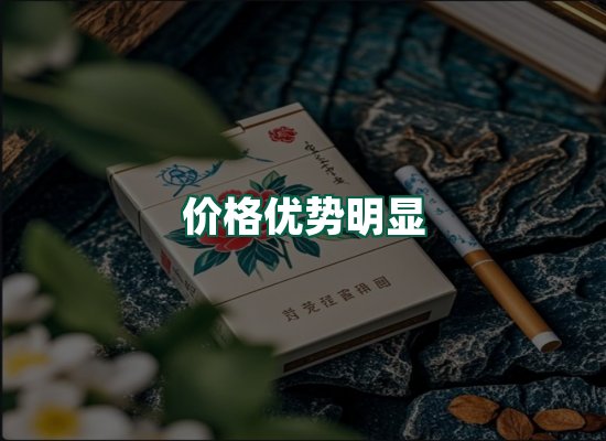 核心优势